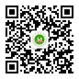 濟寧醫療保障
