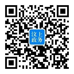 汶上政務