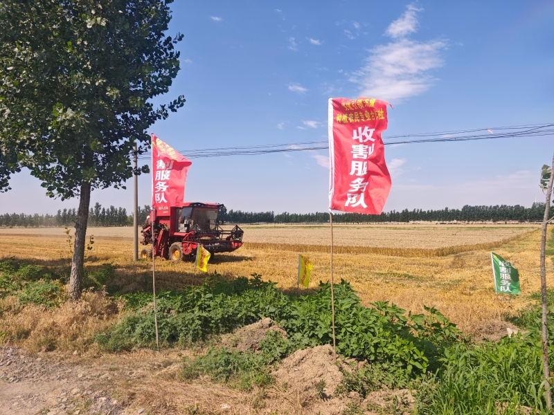 微信圖片_20260618101901.jpg
